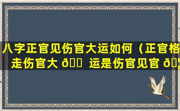 八字正官见伤官大运如何（正官格走伤官大 🐠 运是伤官见官 🦁 吗）